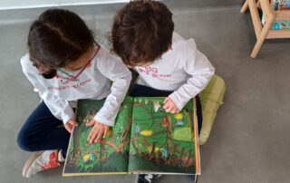 Imagem WhatsApp 2025-10-31 às 17.53.05_8fdd1ea9