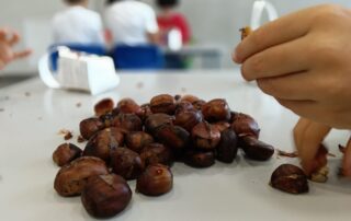 Imagem WhatsApp 2025-11-11 às 15.56.45_abfc055c