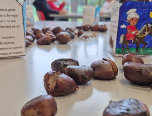 O dia de São Martinho chegou!