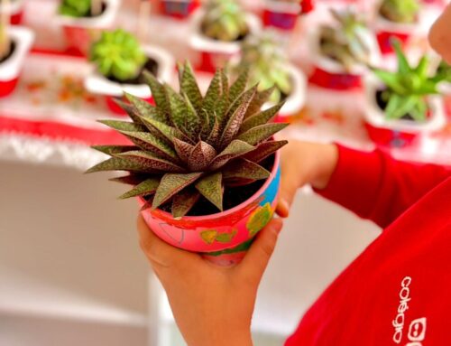 III Feira da Primavera do Colégio do Forte